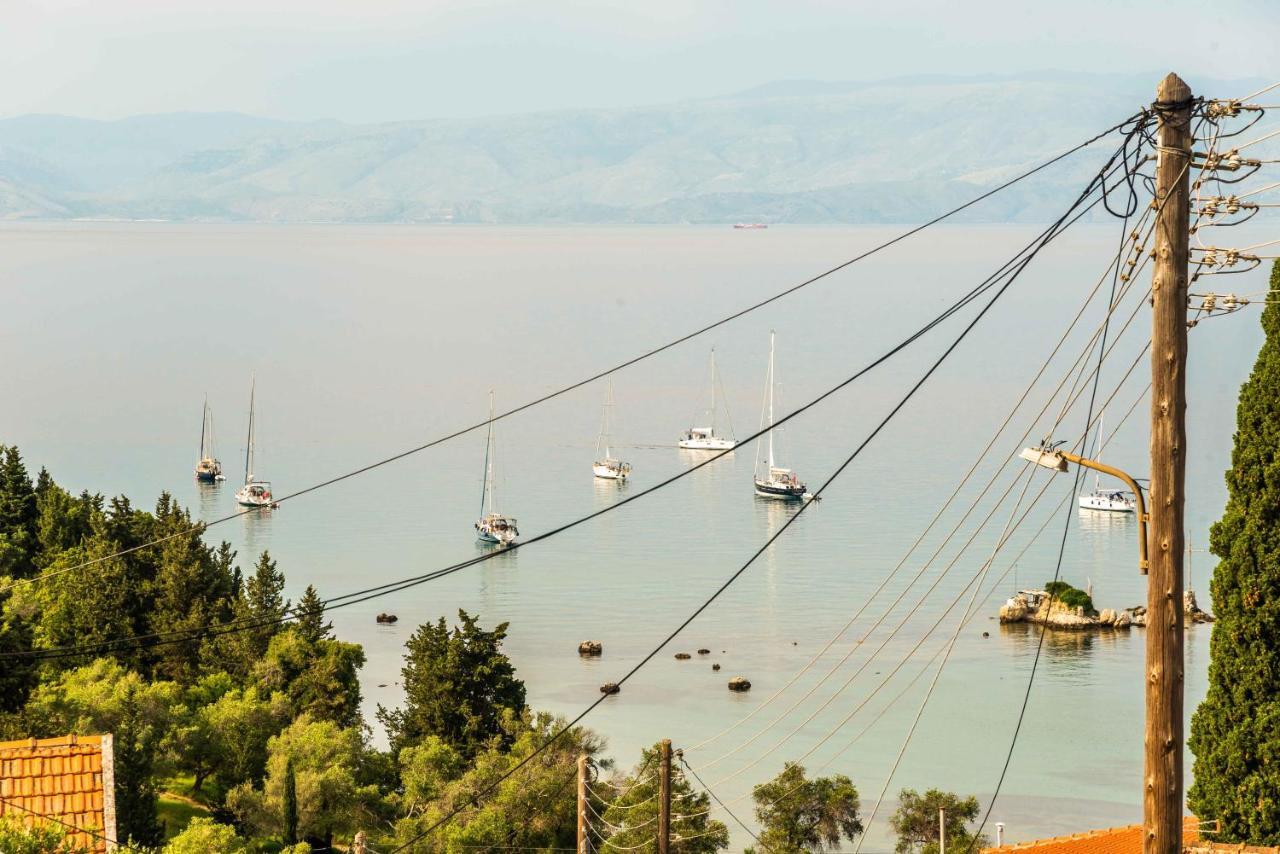 ηοrizon View House *